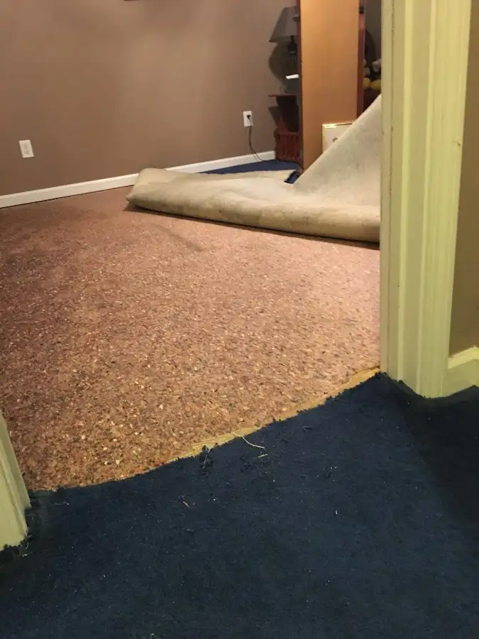 Carpet pad removal revealing water damage during Drying & Dehumidification in West Brandywine