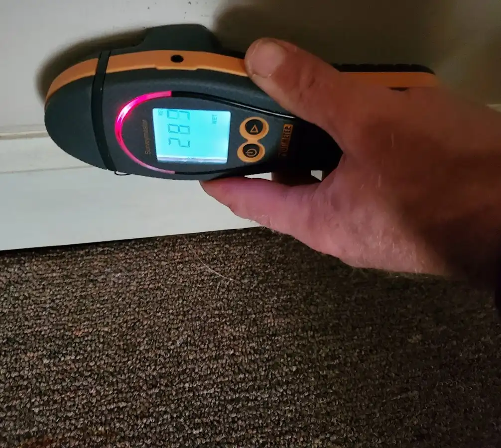 Moisture detection at baseboard during Sewage Cleanup & Sanitation in West Brandywine